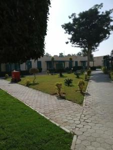 Cairo Pyramids - 543