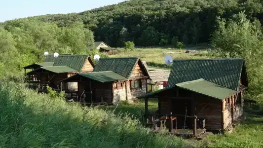 Приволье - 63