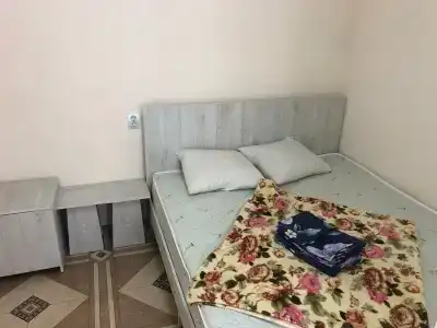 Адениум - 4