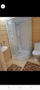 Крассула - 17