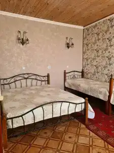 Орион - 19