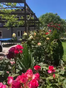 RoseHouse - 74