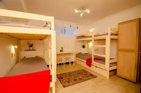 Berloga House - 51