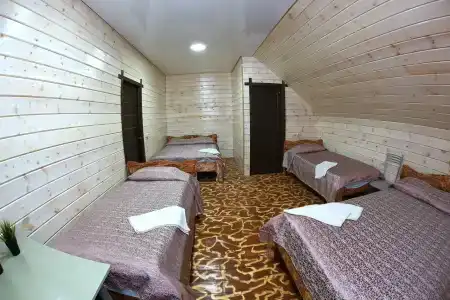 Домашний - 113