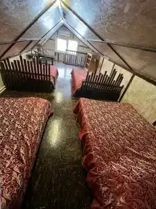 Домашний - 55