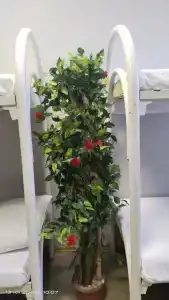 ХотелХот - 38