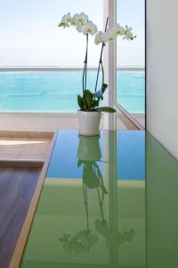 Vert Dead Sea - 57