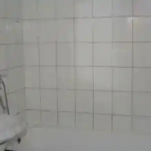 Степной - 39