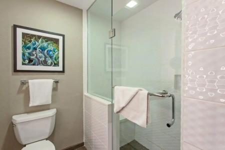 Holiday Inn Express Hollywood Walk Of Fame, An Ihg - 319