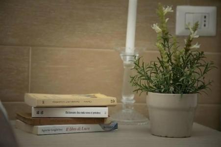 Ideal Boutique - 420