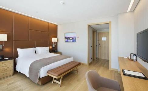 DoubleTree by Hilton Istanbul-Avcilar - 132