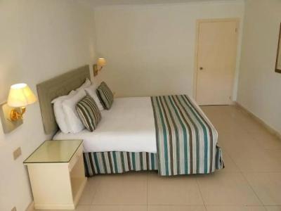 Cairo Pyramids - 158