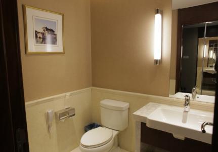 Soluxe Алматы - 311