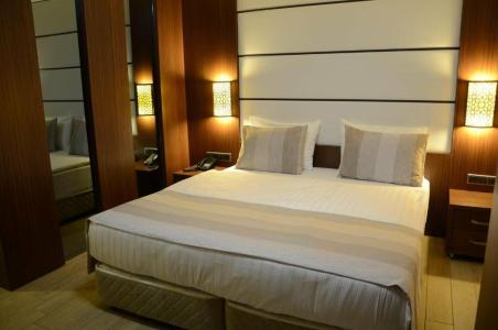 Safa Royal Museum - 45