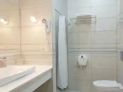 Дионис - 107
