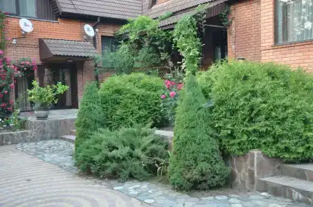 Эдельвейс - 58