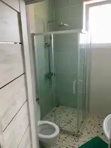 Палисандр - 61