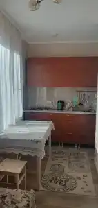 Приза - 41
