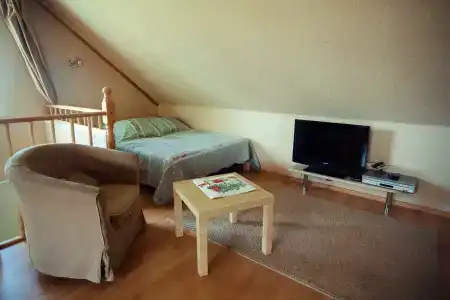 Forest Park - Tiny House - 59
