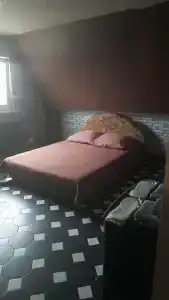 Золотой ковш - 46
