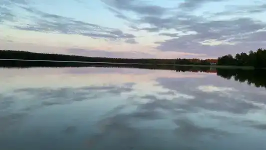 Хирви хаус - 56