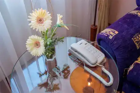 Спутник - 131