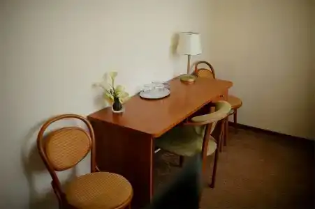 Спутник - 103