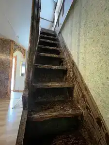 Домашний - 54