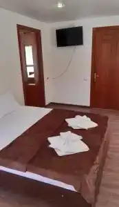 Дионисий - 29