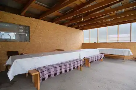 У Анжелы - 28