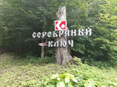Серебряный ключ - 71