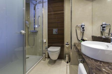 Holiday Inn Ankara-Kavaklidere, An Ihg - 182