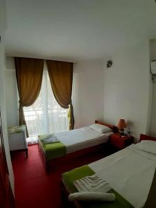 Caretta Caretta - 81