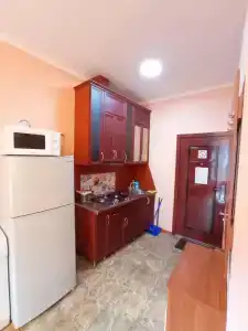 Мини Роза - 108