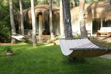 Golden Key Bordubet - 365