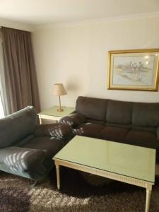 Cairo Pyramids - 535