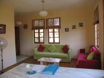 Pasha Apart - 11