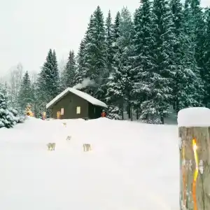 Хутор Нестора - 59