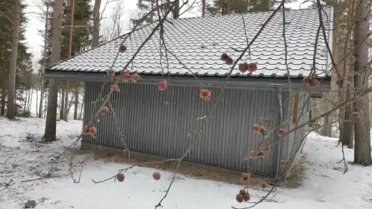 Дом у скалы - у Архипыча - 66