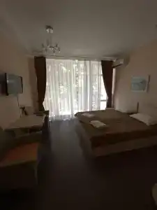 На ладони - 50