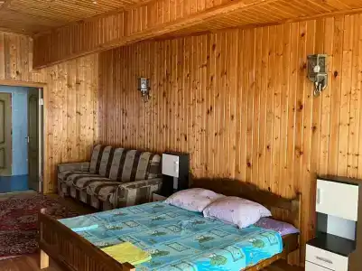 Шахтер - 12