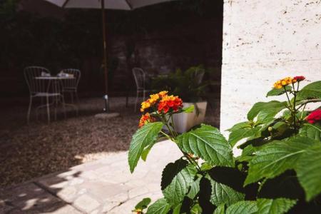 Circo Massimo Guest House - 174