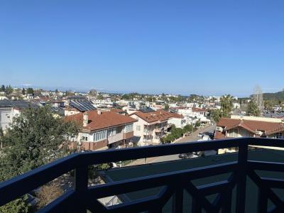 Naturella Apart - 119