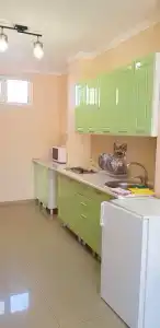 Ассоль - 17