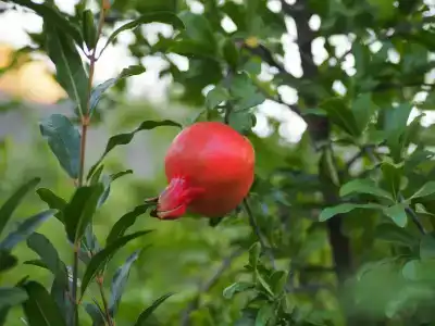 Дом возле реки - 58
