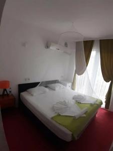 Caretta Caretta - 61