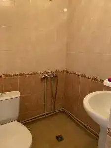 Пантера - 62