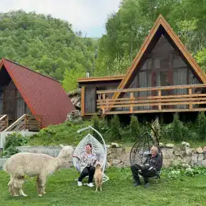 Альпака - 51