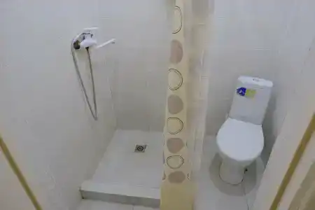 Ной - 99