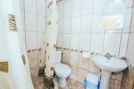 Ускут - 54